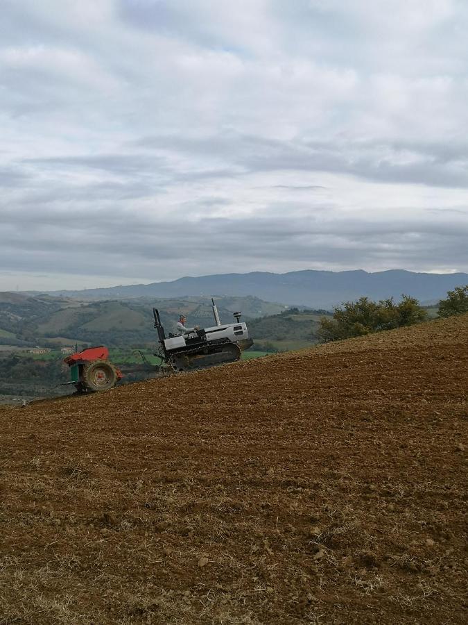 Podere Prataccio