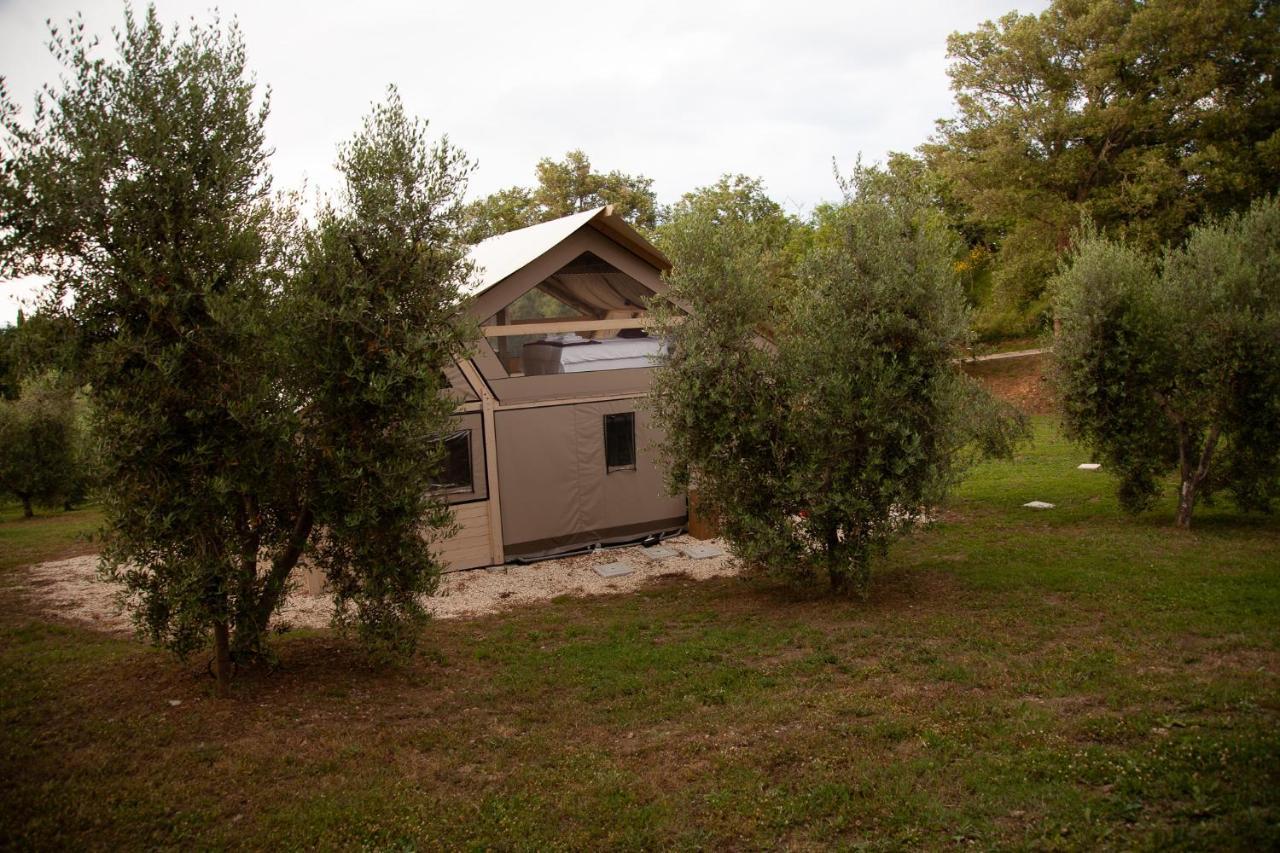 Farm stay Podere Prataccio